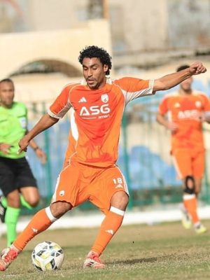 عمرو مرعي